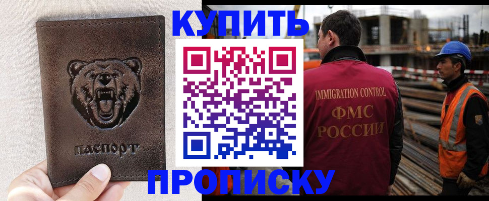 прописка законно в Щиграх